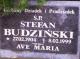 Cmentarz_Gorzow_Stefan_Budzinski (1).jpg